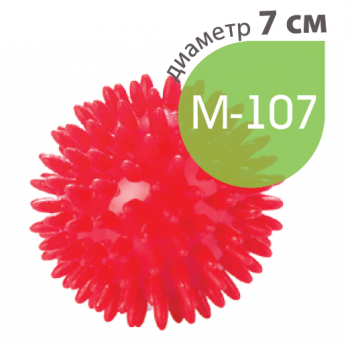 картинка М-107 Мяч игольчатый от РУП Медтехника